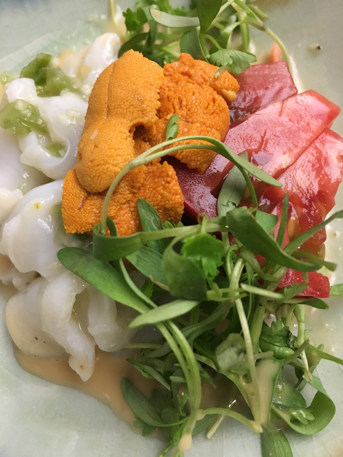 SHU Sushi House Unico Food & Dining-1020889474